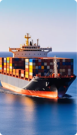 Energy Performance & Sustainability